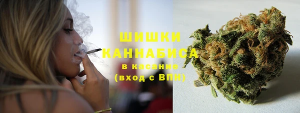 mix Бородино