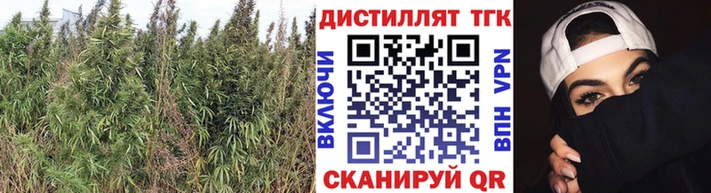 Дистиллят ТГК жижа  Раменское 